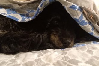 WhatsApp Image 2025-09-17 at 09.16.48.jpeg